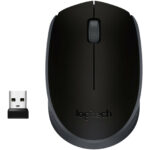 Souris sans fil Logitech M171 Wireless Mouse (Noir)
